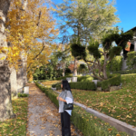 Tea Time in the Fall | OOTD