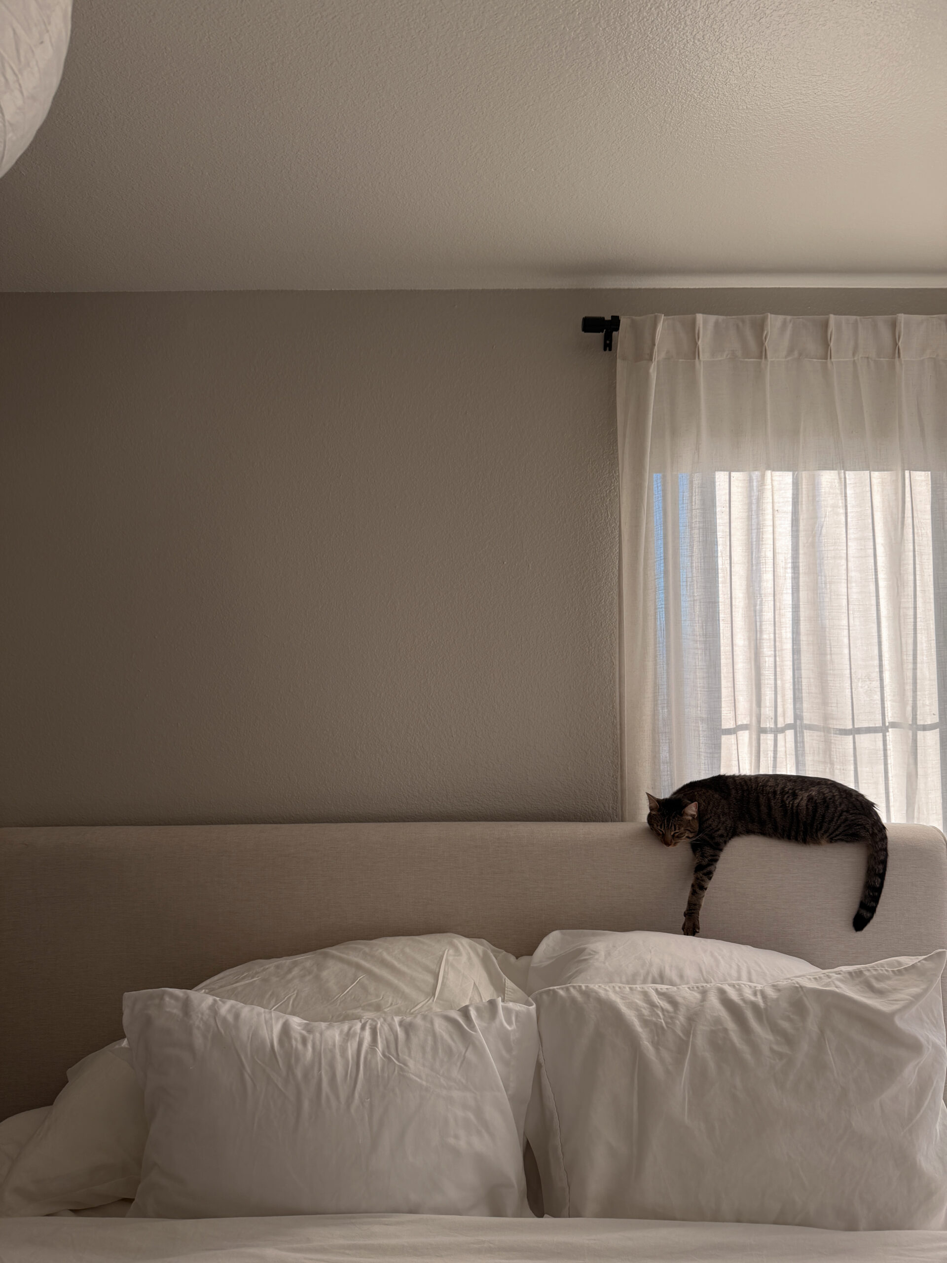Building My Ideal Morning Routine